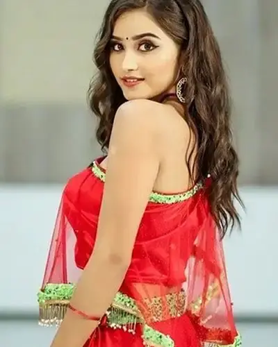 Escort In Velankanni